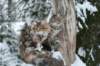 filippusandeunikeimg_1227_small.jpg