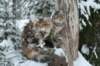 filippusandeunikeimg_1228_small.jpg