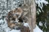 filippusandeunikeimg_1229_small.jpg