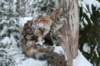 filippusandeunikeimg_1231_small.jpg