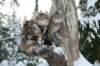filippusandeunikeimg_1240_small.jpg