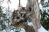 filippusandeunikeimg_1242_small.jpg