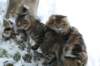 filippusandeunikeimg_1249_small.jpg