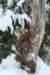 filippusandeunikeimg_1255_small.jpg