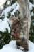 filippusandeunikeimg_1256_small.jpg