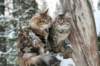 filippusandeunikeimg_1259_small.jpg