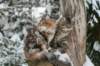 filippusandeunikeimg_1269_small.jpg