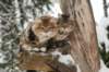 filippusandeunikeimg_1287_small.jpg