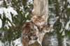 filippusandeunikeimg_1308_small.jpg