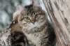 filippusandeunikeimg_1321_small.jpg