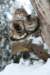 filippusandeunikeimg_1325_small.jpg