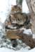 filippusandeunikeimg_1335_small.jpg