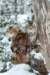 filippusandeunikeimg_1364_small.jpg