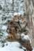 filippusandeunikeimg_1365_small.jpg