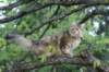 img_8643_small.jpg