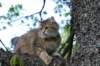 img_8651_small.jpg