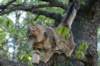 img_8653_small.jpg