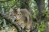 img_8732_small.jpg