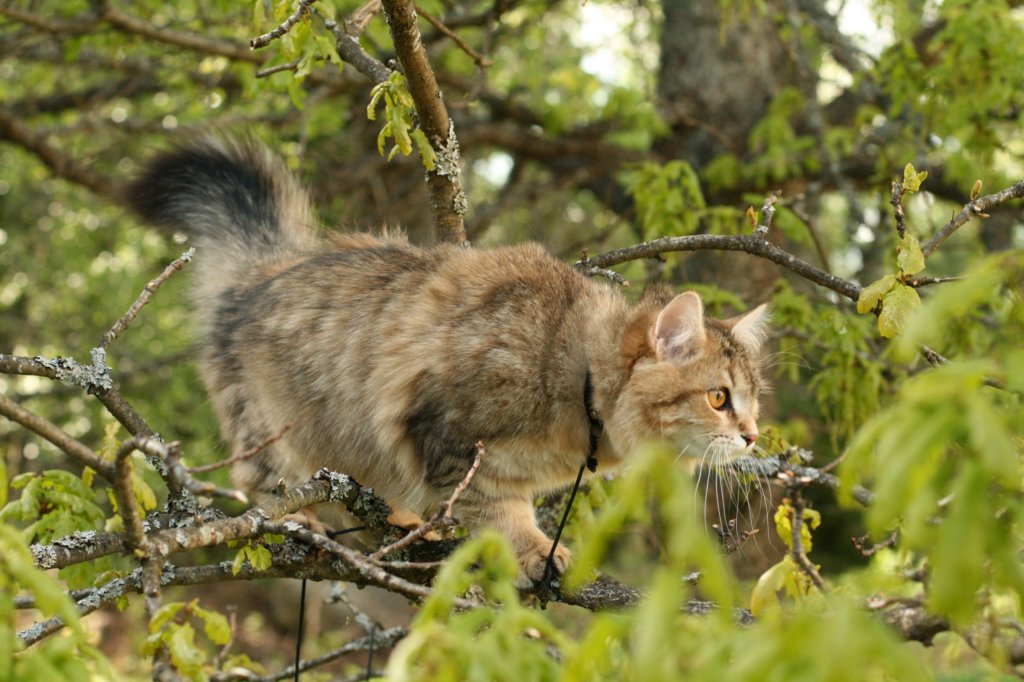 img_8745.jpg