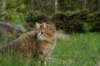 img_8777_small.jpg