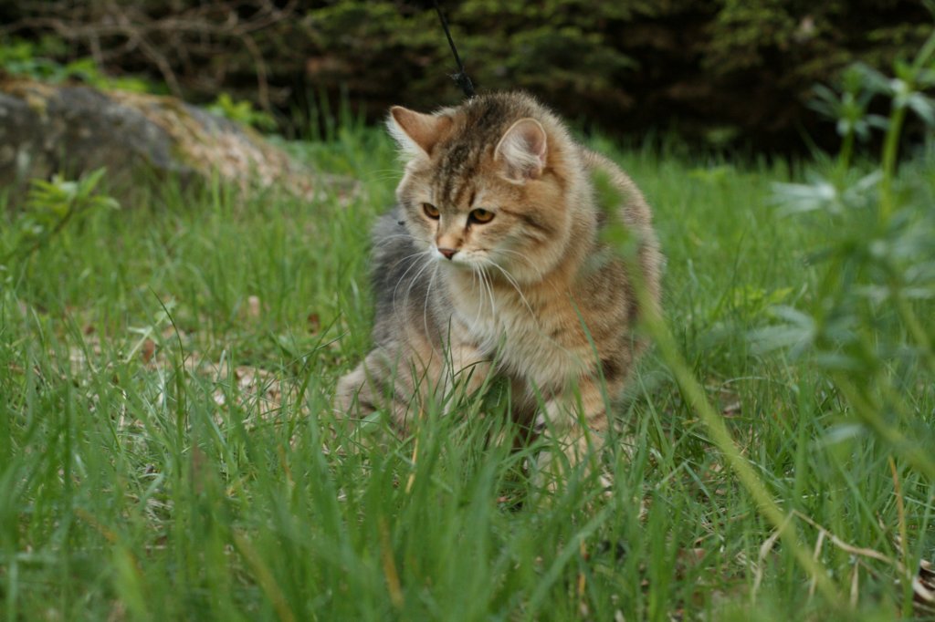 img_8779.jpg