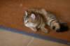 img_8807_small.jpg