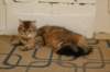 img_8812_small.jpg