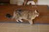 img_8818_small.jpg