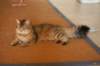 img_8820_small.jpg