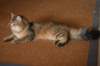 img_8822_small.jpg