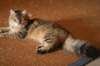img_8824_small.jpg