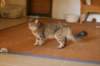 img_8826_small.jpg