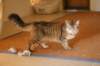 img_8827_small.jpg