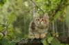 img_8700_small.jpg