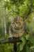 img_8706_small.jpg