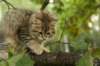 img_8728_small.jpg
