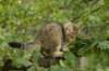 img_8737_small.jpg