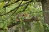 img_8742_small.jpg