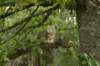 img_8745_small.jpg