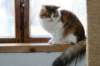 amurinpazia24420151yearand45months14_small.jpg