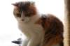 amurinpazia24420151yearand45months17_small.jpg