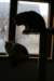 amurinpazia24420151yearand45months7_small.jpg