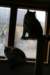 amurinpazia24420151yearand45months8_small.jpg