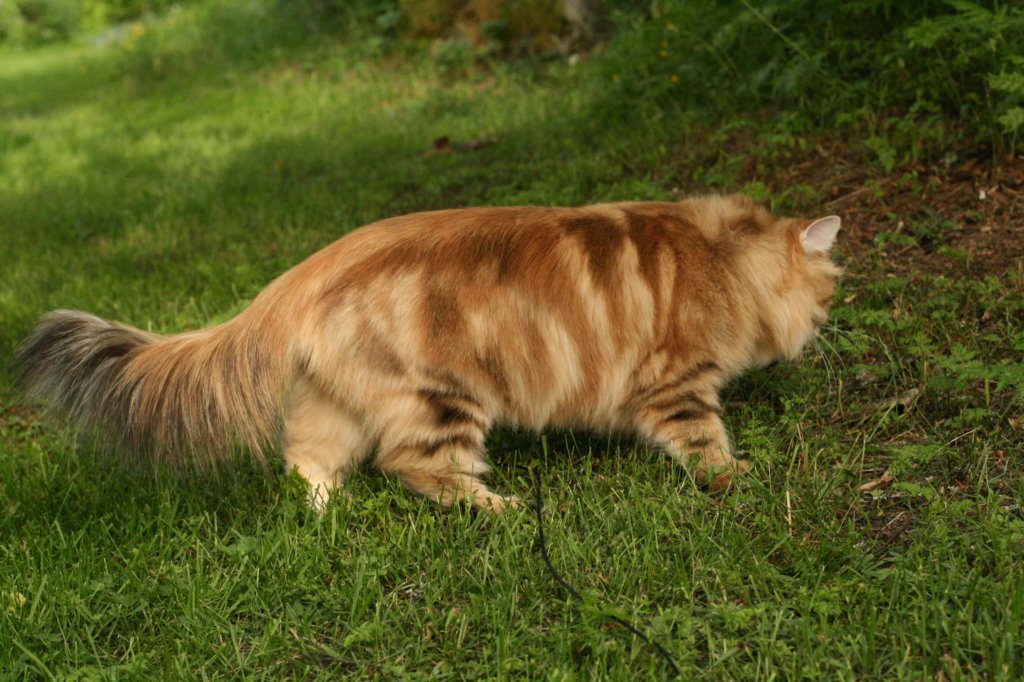 img_7278.jpg