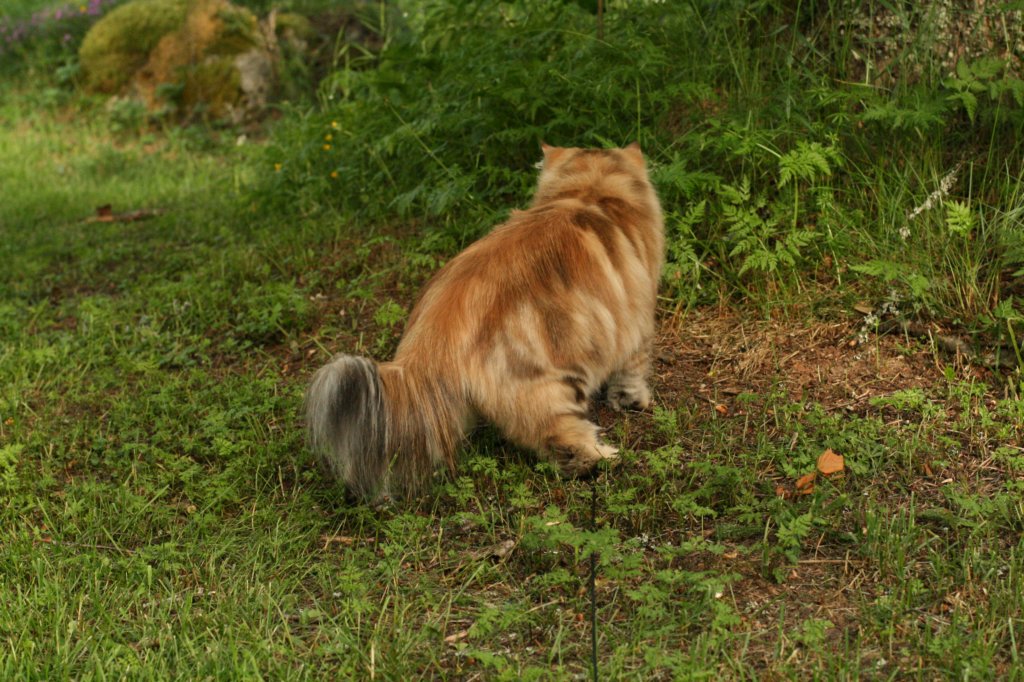 img_7281.jpg