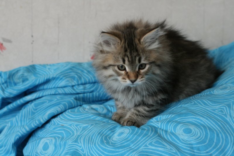 tabita26.jpg