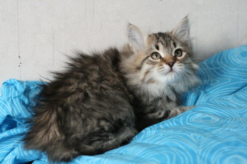 tabitagirl5.jpg