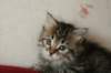 tabita18_small.jpg