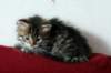 tessalonika27_small.jpg