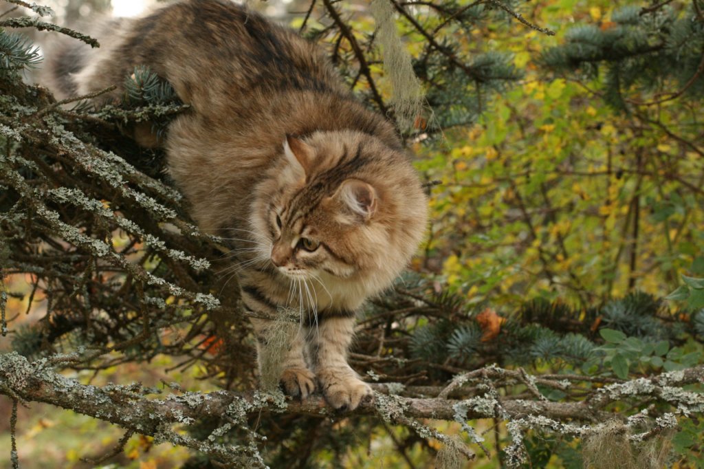 ussiapoikasynt1842011superihanaluonne48.jpg